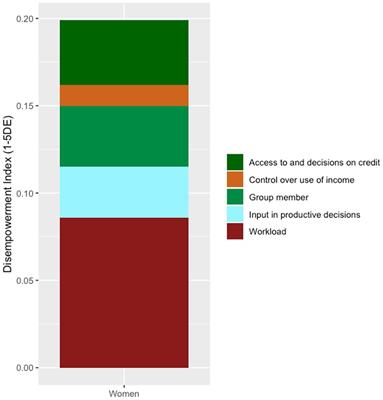 Women’s empowerment and child nutrition in a context of shifting livelihoods in Eastern Oromia, Ethiopia